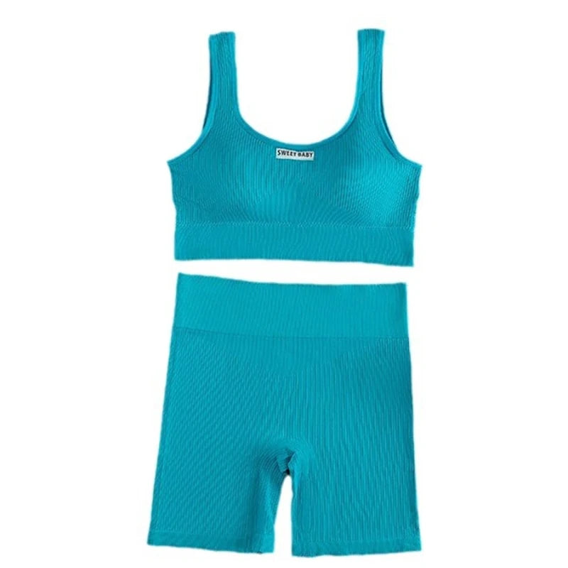 Conjunto de ioga sem costura feminino, trajes de treino fitness